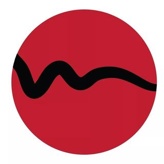 Makeup Stash Pakistan logo