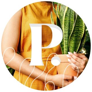 Plantquility Houseplants  logo