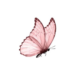 Alani's Boutique Co logo