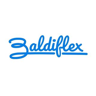 Baldiflex logo