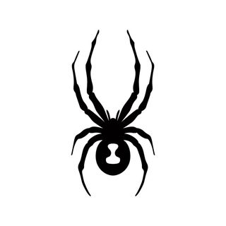 Spyder logo