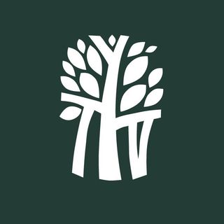 Banyan Tree Essentials logo