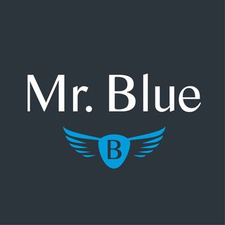 Mr Blue logo