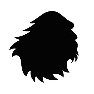 Satorisan logo