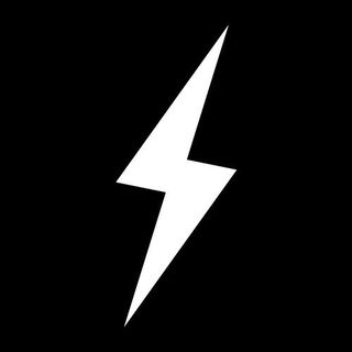 BRUCE BOLT logo