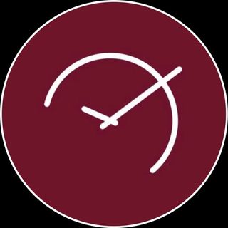 Italian Watch Spotter logo