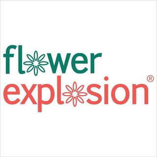 Flower Explosion logo
