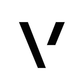 Vioneers logo
