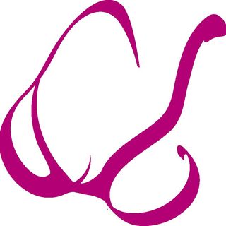 The Little Bra Company® logo