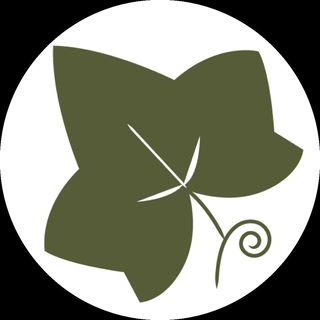 Immaculate Vegan logo