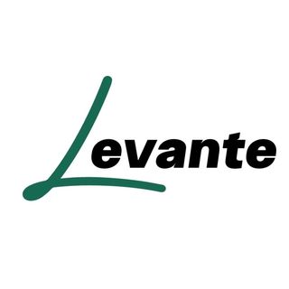 LevanteShoes logo