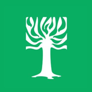 Freedom Tree logo