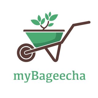 myBageecha logo