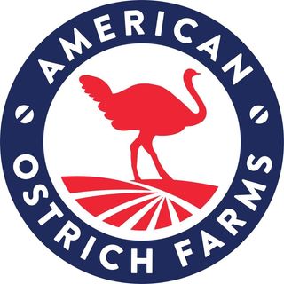 American Ostrich Farms logo