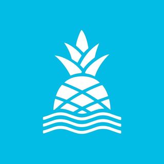 Chubbies Shorts logo