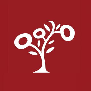 Halicizade Rugs & Carpet logo