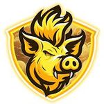 Warhogy Gadgets logo