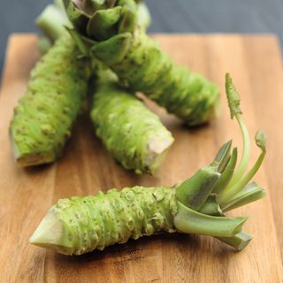 The Wasabi Company logo