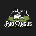 Bioangus logo