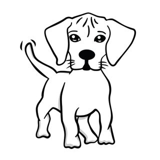 Go Raw Pet Food logo