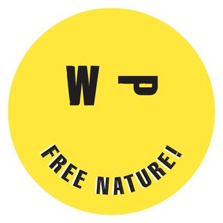 WILDPLASTIC logo