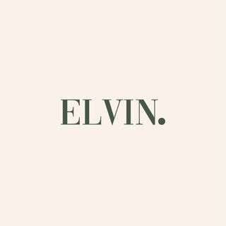 elvin.pakistan logo