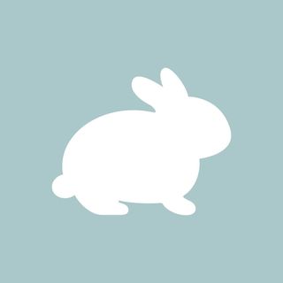Babycottons Mexico logo