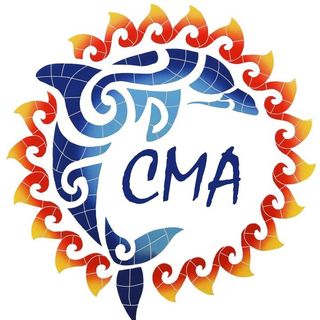 ceramicmosaicart.com logo