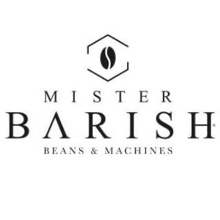 Mister Barish logo