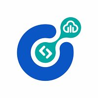 Chief Software Solutions logo