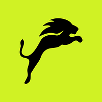 Saleslion Suomi Oy – Ecommerce Growth Partner logo