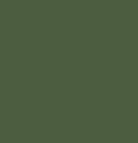 Studio Almond logo