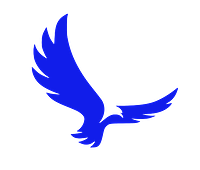 Braeutigam Media logo