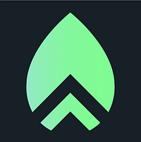 Prosper Digital Pty Ltd logo