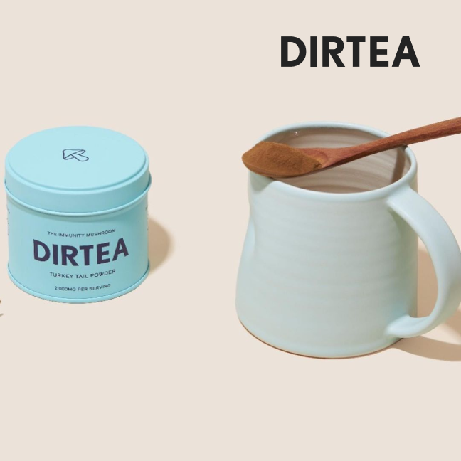 DIRTEA screenshot