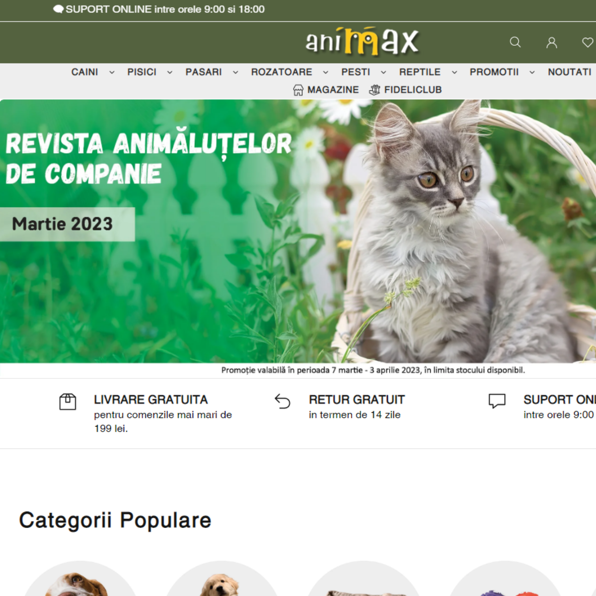 Animax.ro - Site Build, Email Marketing, Digital Ads & Ongoing Support screenshot