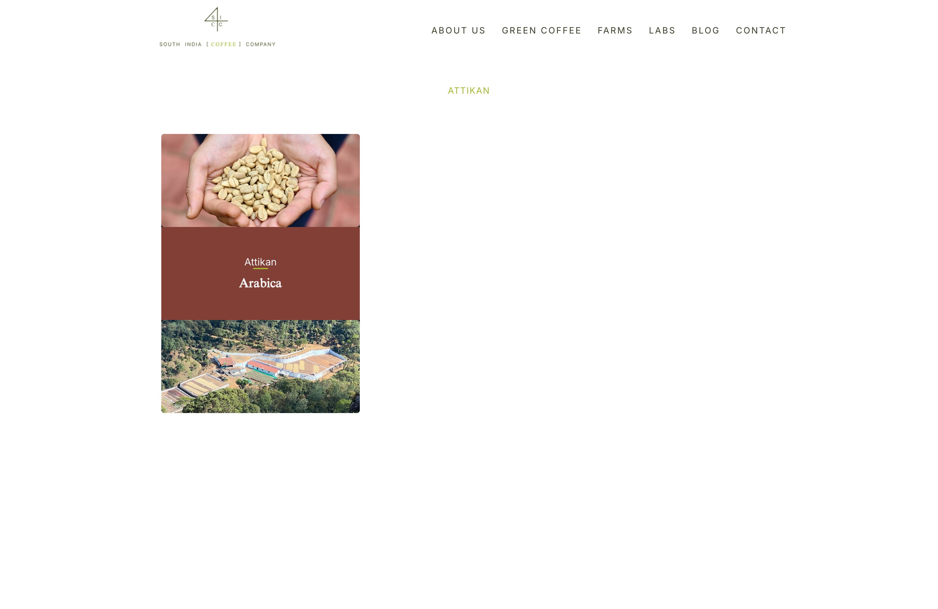 SOUTH INDIA COFFEE COMPANY screenshot