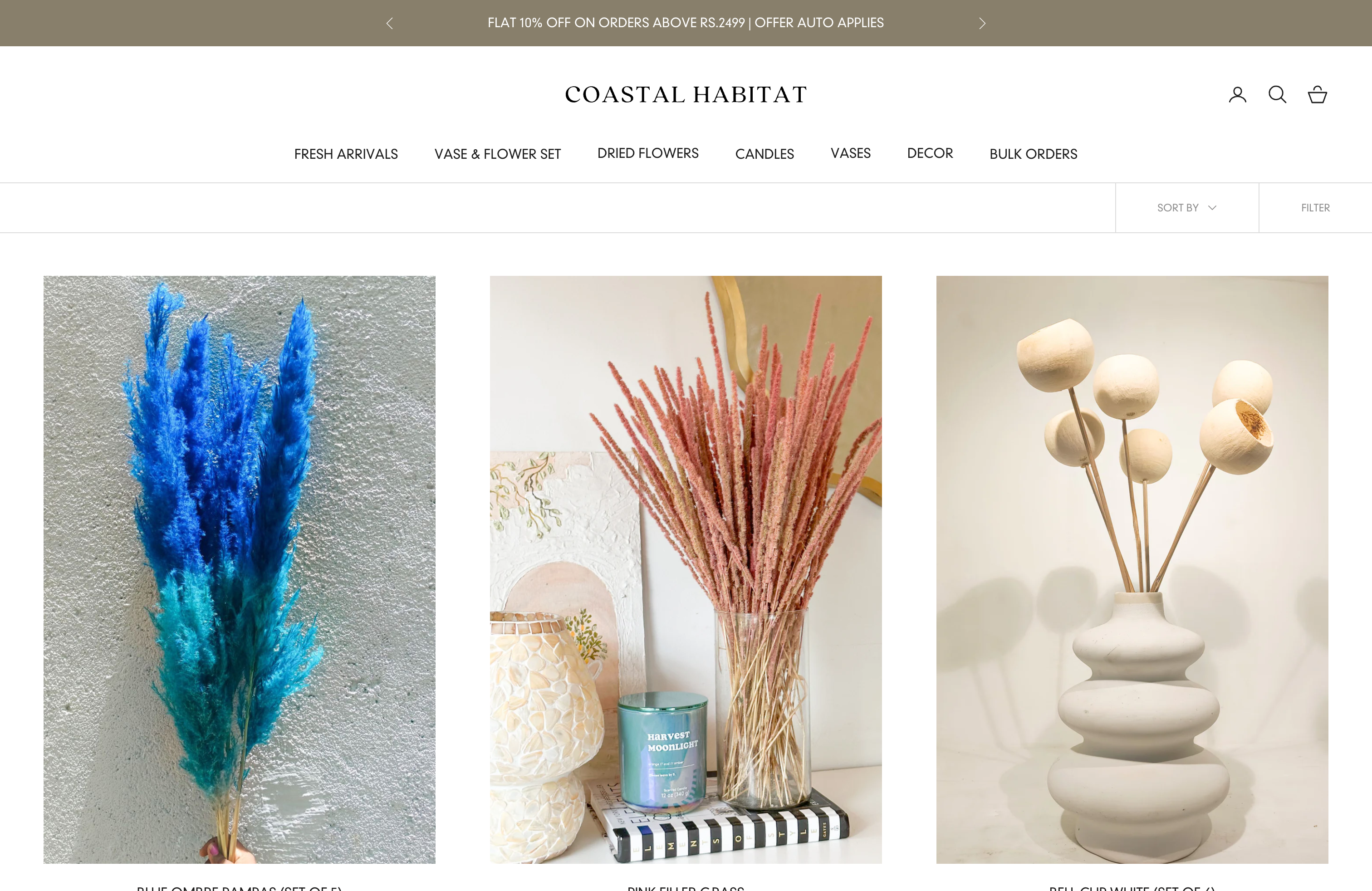 Coastal Habitat: Website & Branding for Optimal UI/UX screenshot